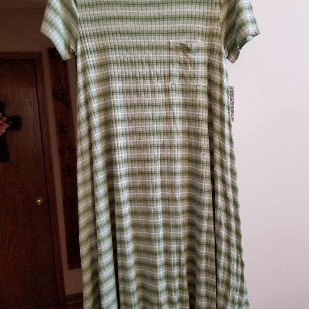 LuLaRoe Carly Swing dress